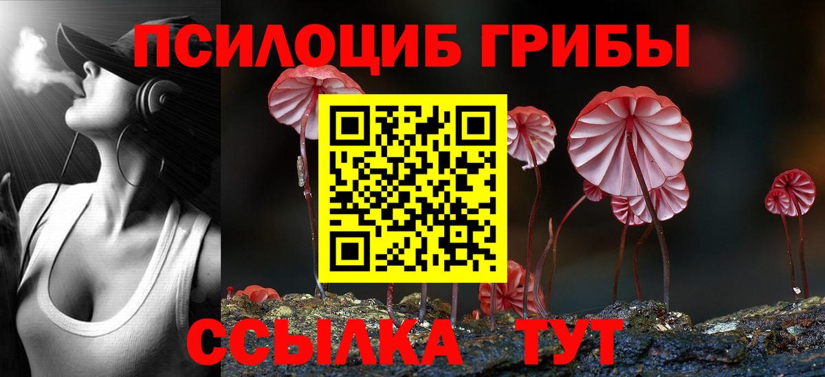 Новоуральск  что такое   Псилоцибиновые грибы мухоморы  Вход с VPN  Галлюциногенные грибы мухоморы 