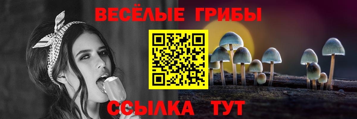 Псилоцибиновые грибы MAGIC MUSHROOMS Новоуральск